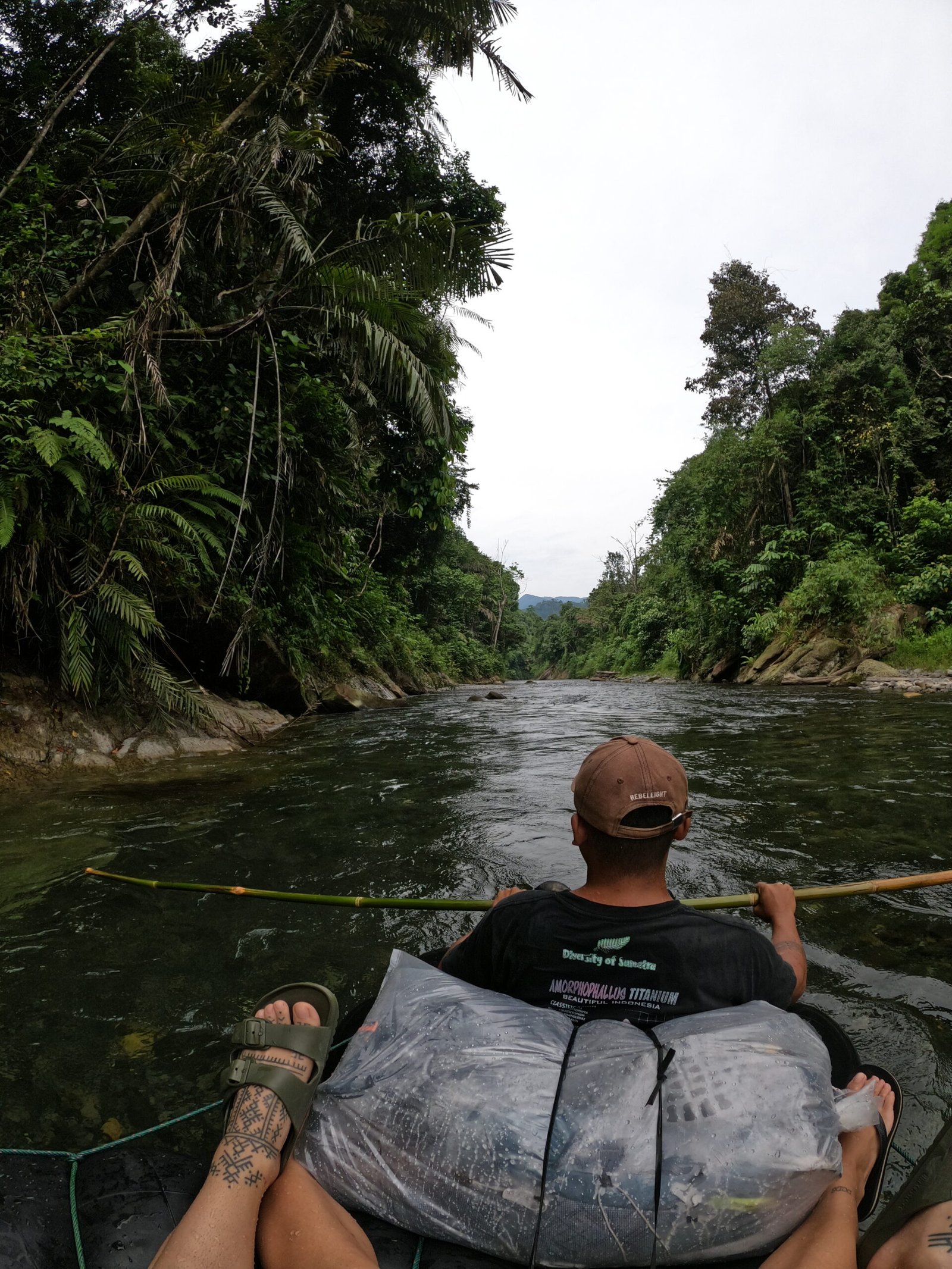 Jungle Taxi