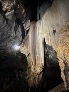 IMG_9393
